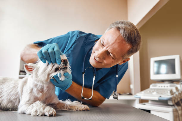 Best Emergency Treatment for Dental Infections or Abscesses in Warsaw, IL
