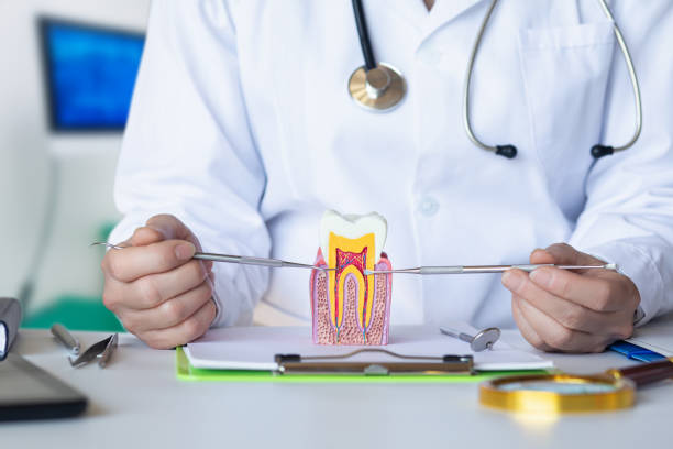 Best Weekend Emergency Dentist in Warsaw, IL